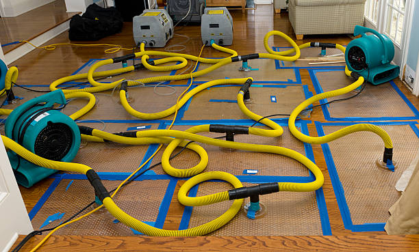 Professional Crawl Space Water Removal technician working in Staples, MN